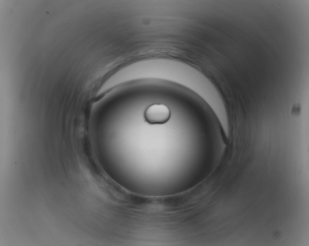 X0000114130356200910151550