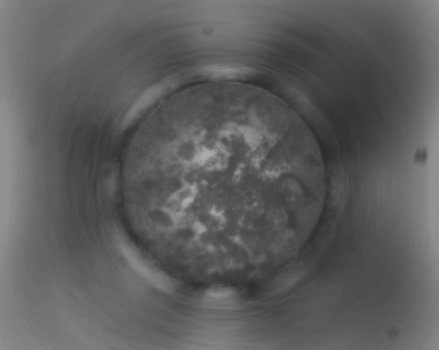 X0000114130357200910151550