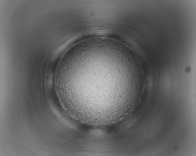 X0000114130358200910151550