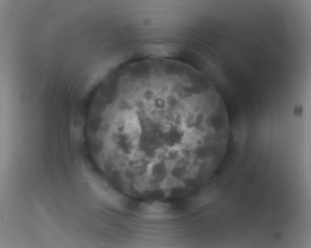 X0000114130359200910151550