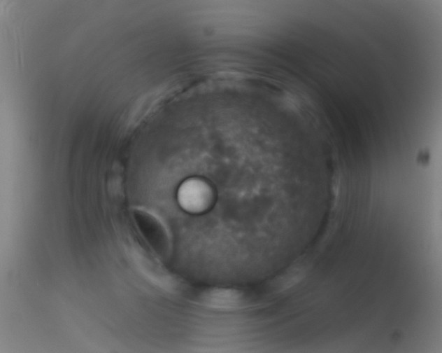 X0000114130361200910151550