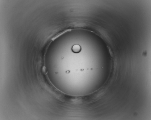 X0000114130362200910151550