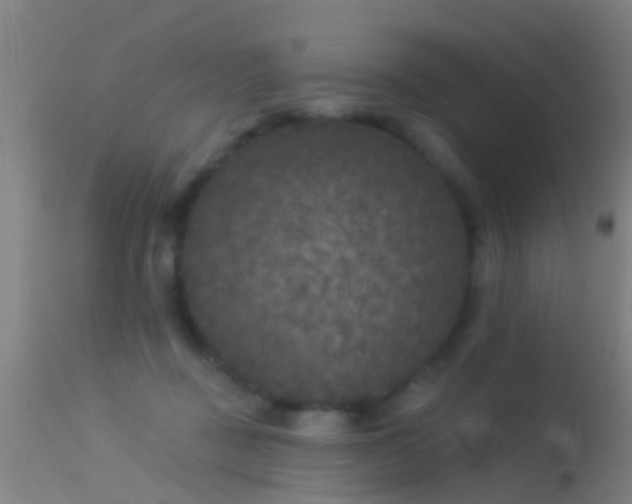 X0000114130363200910151551