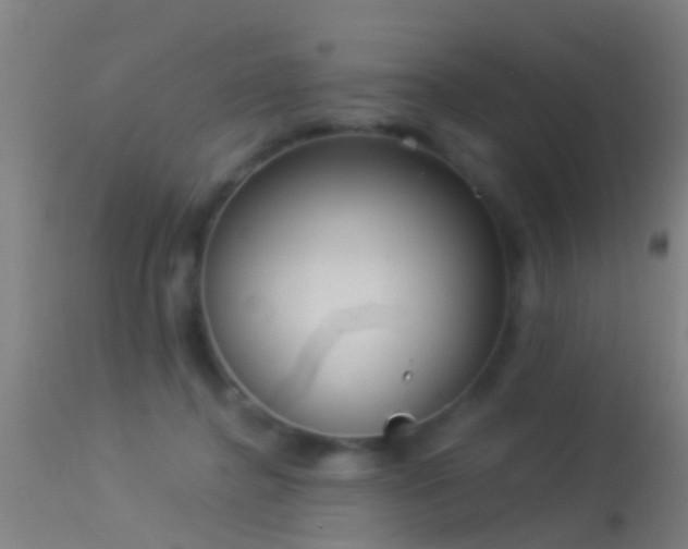 X0000114130364200910151551