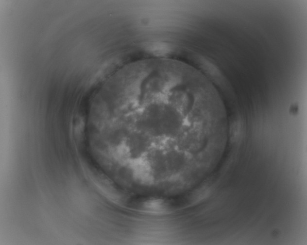 X0000114130365200910151551