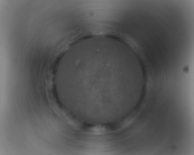 X0000114130366200910151551