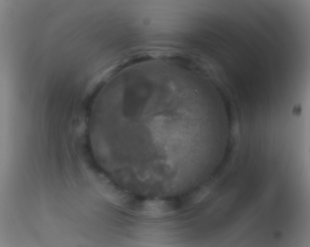 X0000114130367200910151551