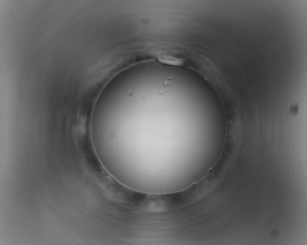 X0000114130368200910151551