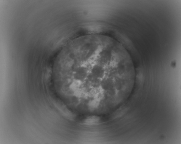 X0000114130369200910151551