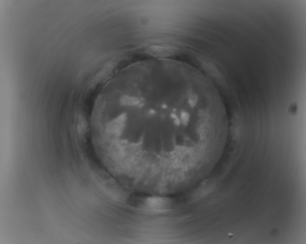 X0000114130371200910151551