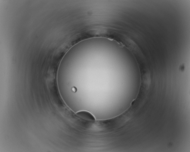 X0000114130372200910151551