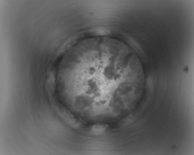 X0000114130373200910151551