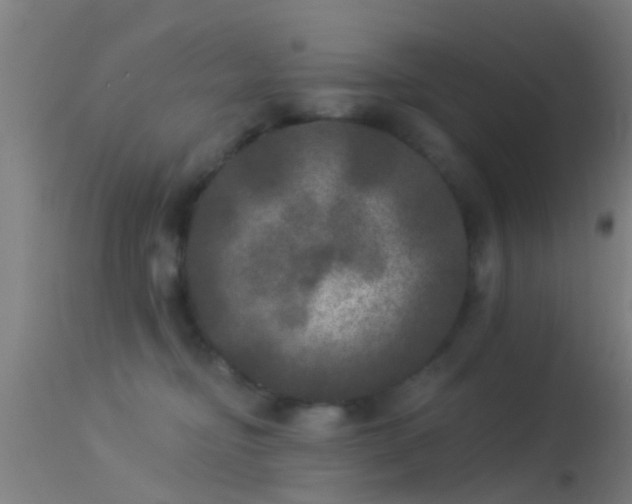 X0000114130374200910151551