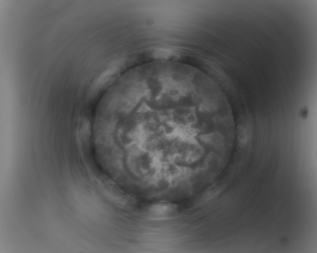 X0000114130375200910151551