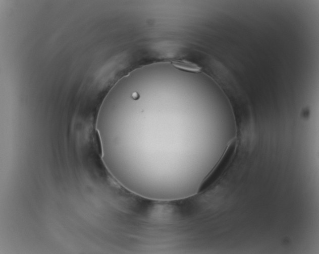 X0000114130376200910151551