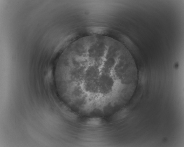 X0000114130377200910151551