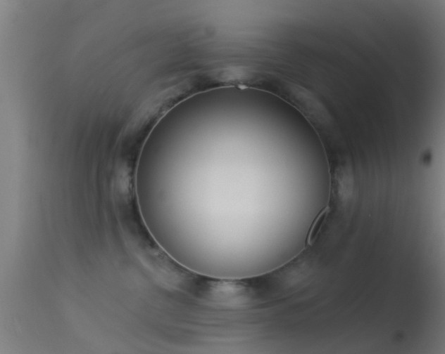 X0000114130380200910151551