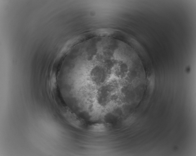 X0000114130381200910151551