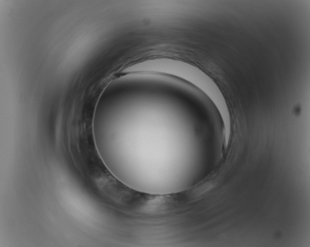 X0000114130382200910151551