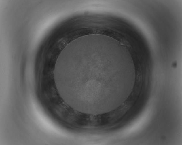 X0000114130383200910151551