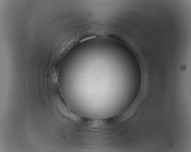 X0000114130384200910151551