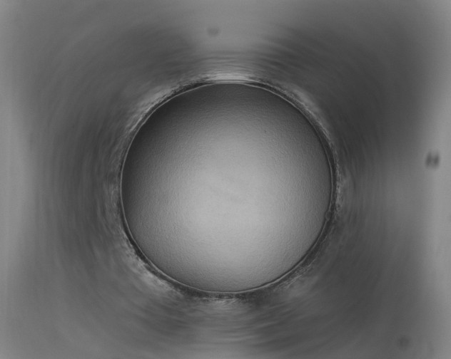 X0000114130385200910151550