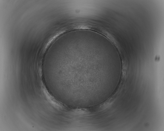 X0000114130386200910151550