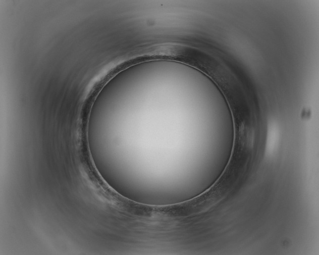 X0000114130388200910151550