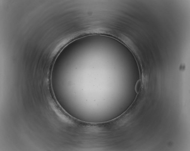 X0000114130389200910151550