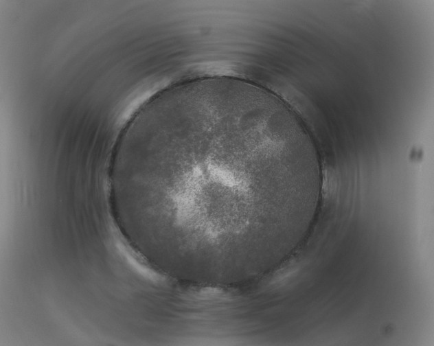 X0000114130390200910151550