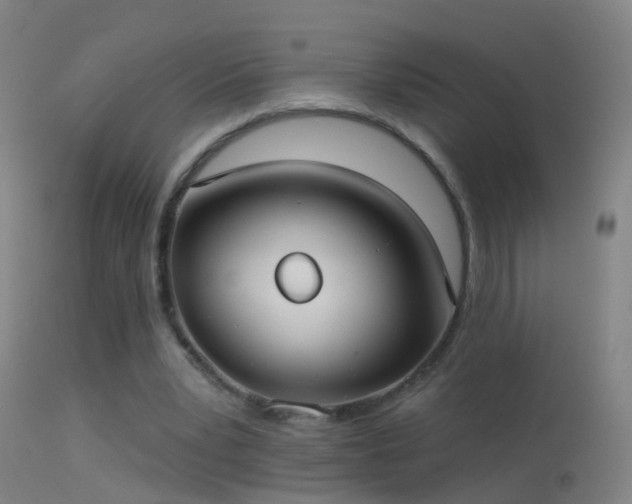 X0000114130391200910151550