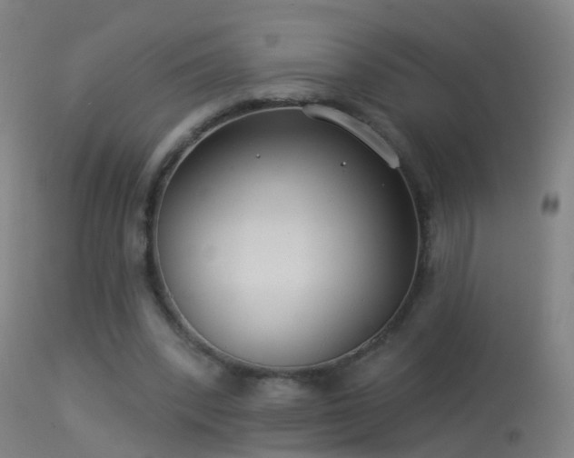 X0000114130392200910151550