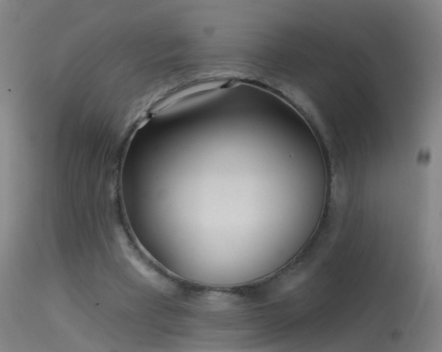 X0000114130393200910151550