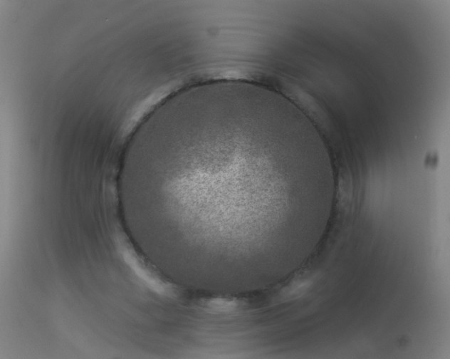 X0000114130394200910151550