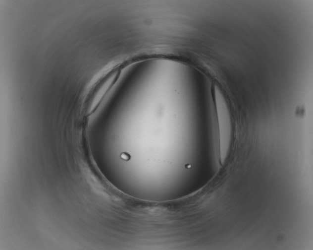 X0000114130395200910151550