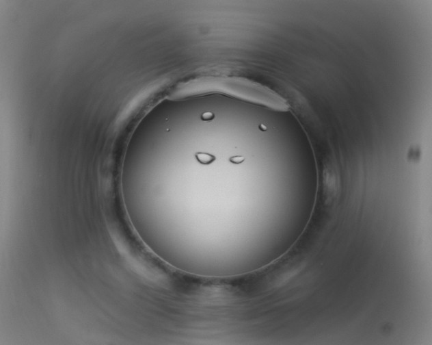 X0000114130396200910151550