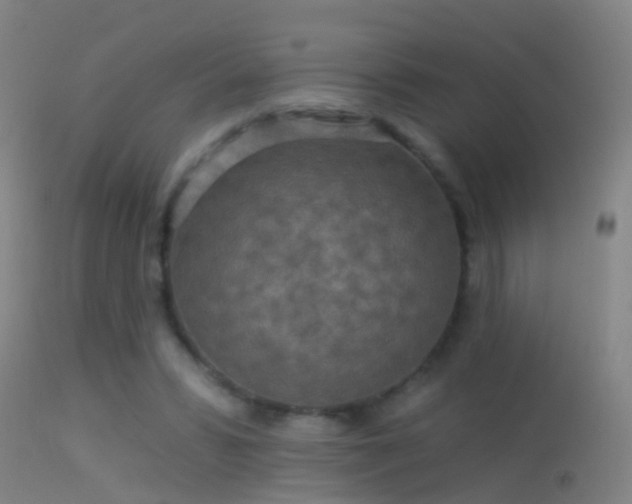 X0000114130399200910151550