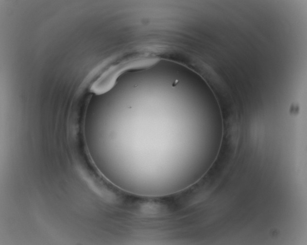 X0000114130400200910151550