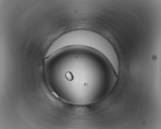 X0000114130401200910151550