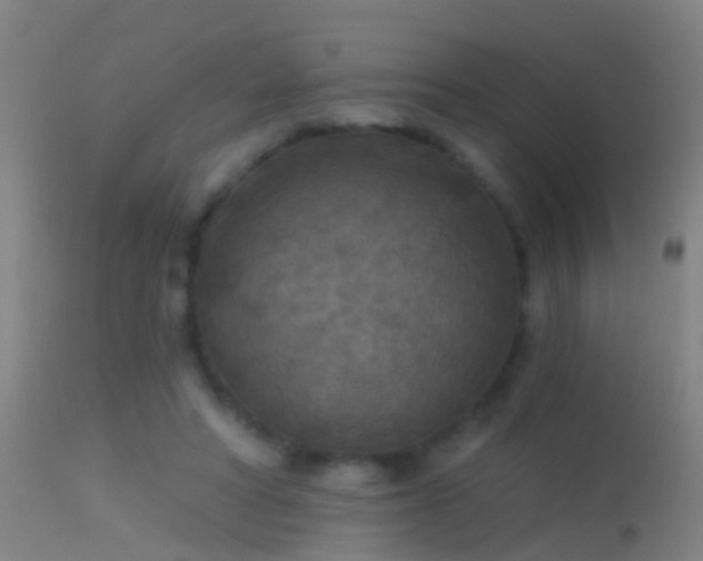 X0000114130402200910151550