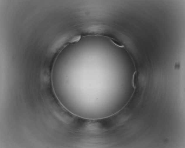 X0000114130403200910151550