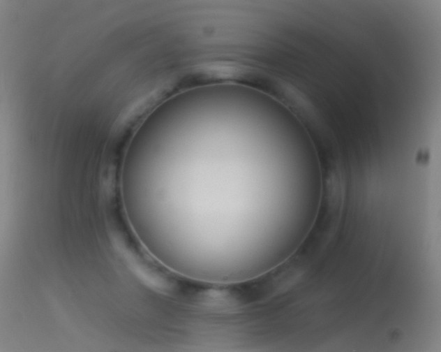 X0000114130406200910151550