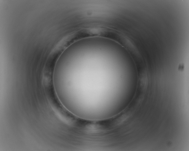 X0000114130408200910151550