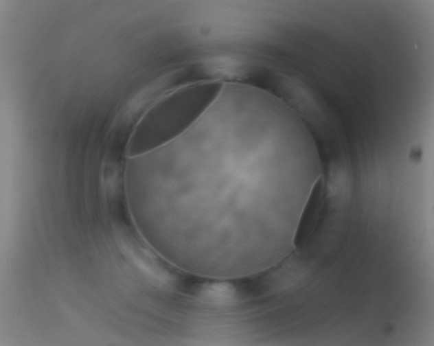 X0000114130409200910151550