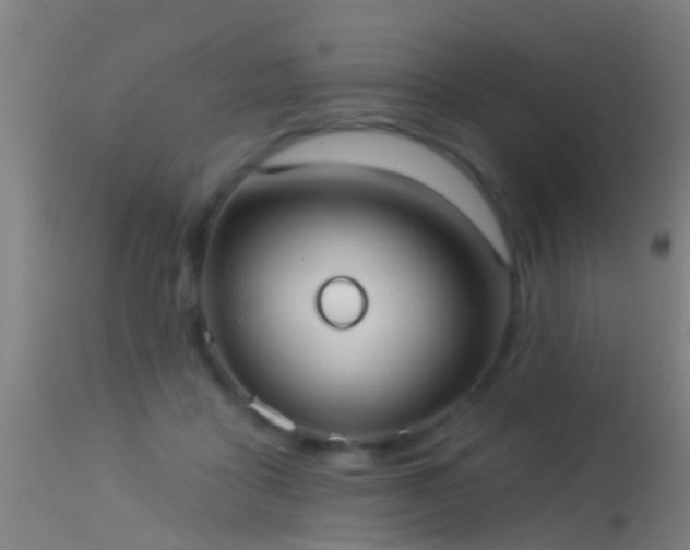 X0000114130411200910151550