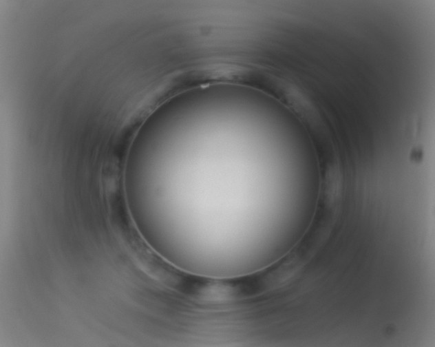 X0000114130413200910151550