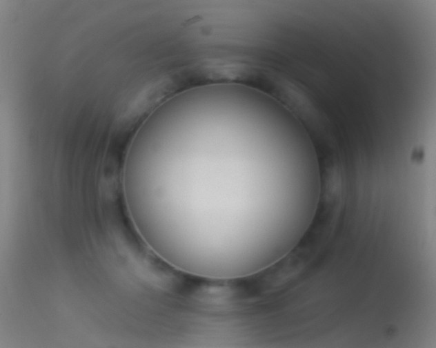 X0000114130414200910151550