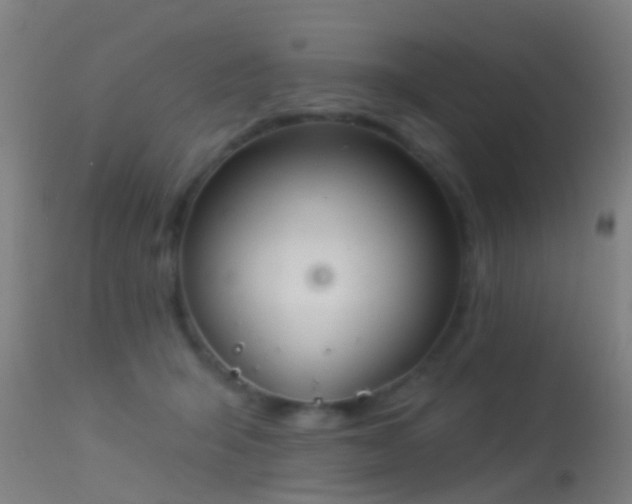 X0000114130415200910151550