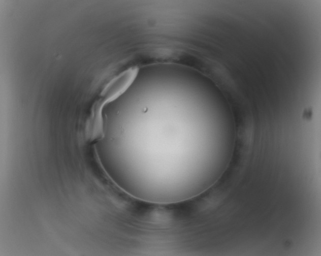 X0000114130416200910151550