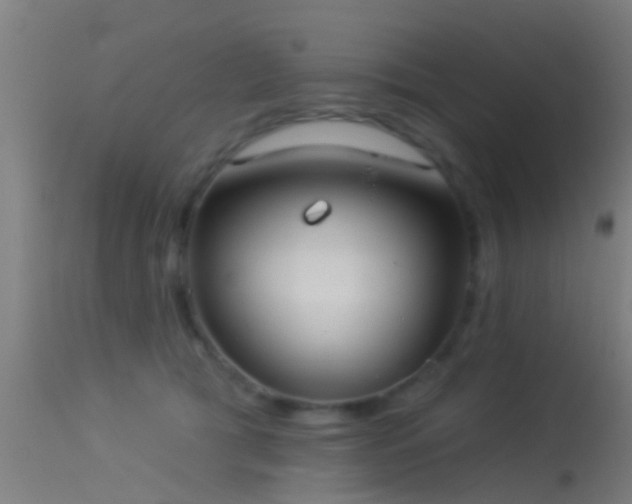 X0000114130417200910151550